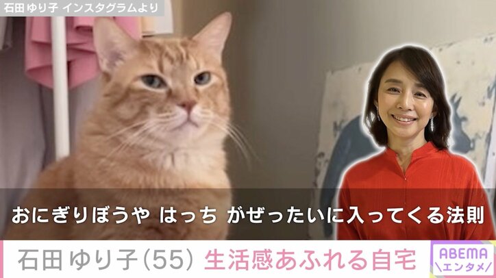 【写真・画像】石田ゆり子（55）、無造作に掛けられた洋服が映った自宅を公開　1枚目